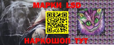 прущие грибы Моздок