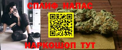 амф Можга