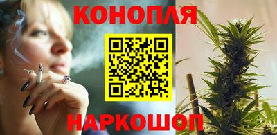 прущие грибы Моздок