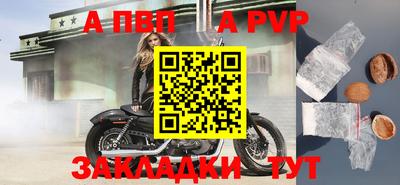 прущие грибы Моздок
