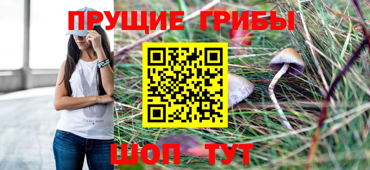 Шадринск  Псилоцибиновые грибы мухоморы  Вход с VPN 